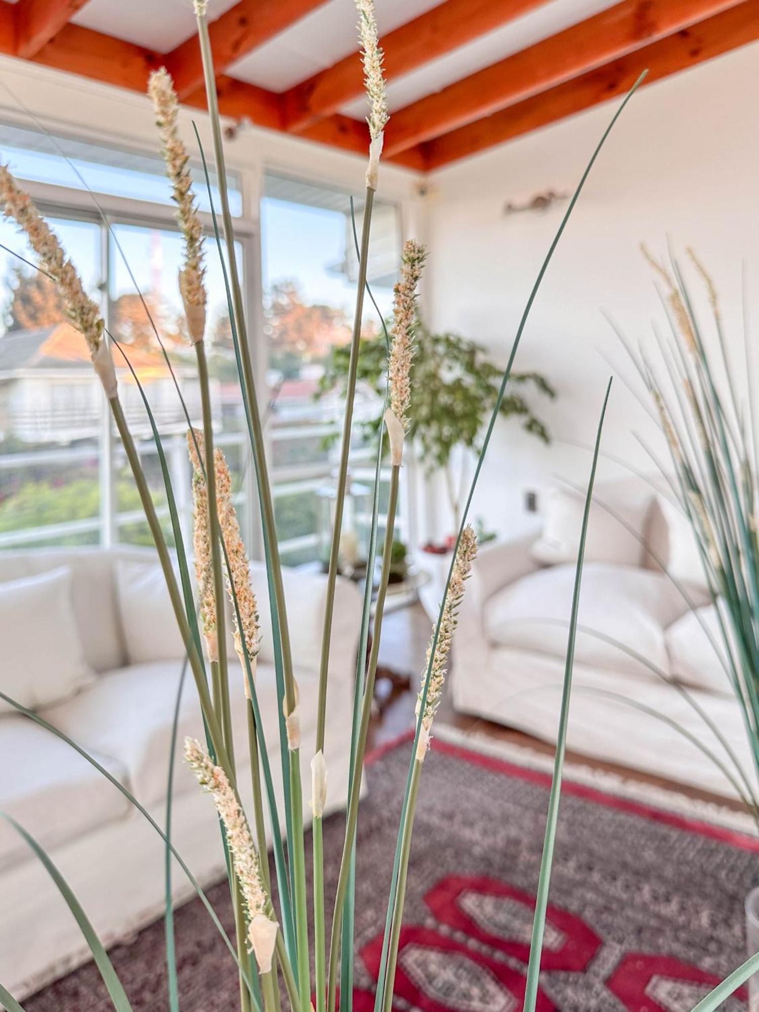 Kai Bed And Breakfast Algarrobo Exterior foto
